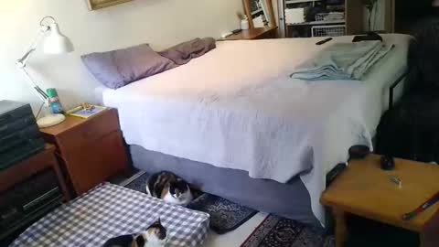 KingT online show from April 19, 2026, 10:03 am