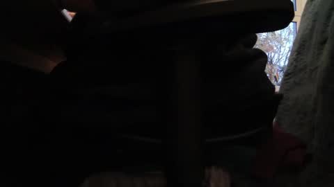 Snapshot of fat_bubble chatting on October 26, 2025, 3:51 pm Fat Bernd online show from October 26, 2025, 3:51 pm