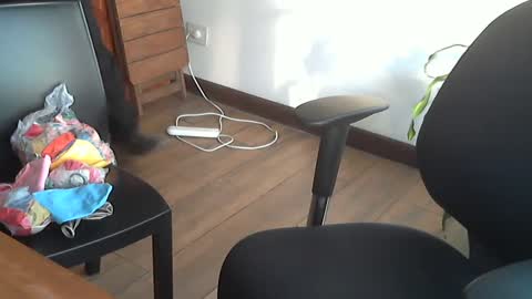 Snapshot of fedeglobos chatting on September 17, 2025, 9:05 pm fedeGLOBOS online show from September 17, 2025, 9:05 pm