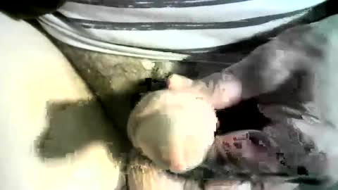 Snapshot of felicaste chatting on March 8, 2025, 12:22 am felicaste online show from March 8, 2025, 12:22 am