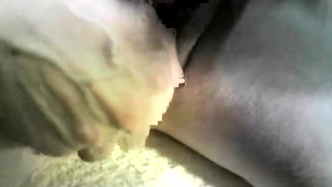 Snapshot of felicaste chatting on October 9, 2025, 12:41 am felicaste online show from October 9, 2025, 12:41 am