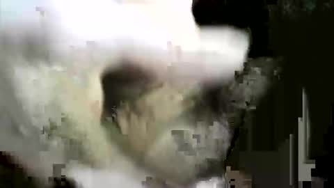 Snapshot of felicaste chatting on December 2, 2025, 8:59 pm felicaste online show from December 2, 2025, 8:59 pm