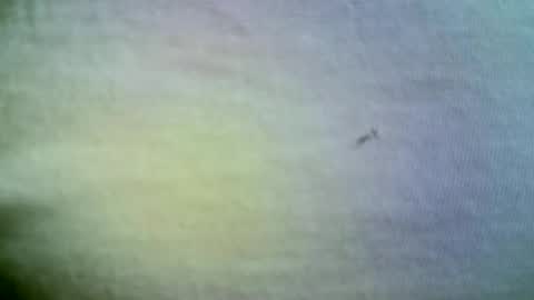 felicaste online show from April 21, 2026, 11:38 am