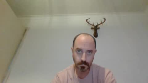 felipesmg2 online show from November 17, 2025, 11:27 am