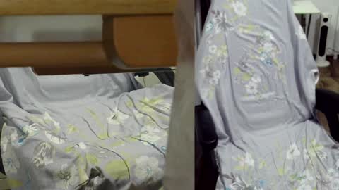 Snapshot of felixlau chatting on January 9, 2025, 6:04 pm felixlau online show from January 9, 2025, 6:04 pm