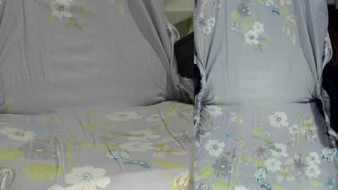 Snapshot of felixlau chatting on January 14, 2025, 10:17 am felixlau online show from January 14, 2025, 10:17 am