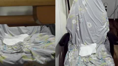 Snapshot of felixlau chatting on January 22, 2025, 12:06 pm felixlau online show from January 22, 2025, 12:06 pm