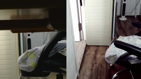 Snapshot of felixlau chatting on February 3, 2025, 7:51 am felixlau online show from February 3, 2025, 7:51 am