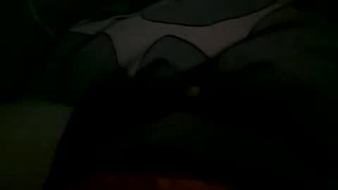 Snapshot of felixske chatting on November 1, 2025, 10:06 am felixske online show from November 1, 2025, 10:06 am