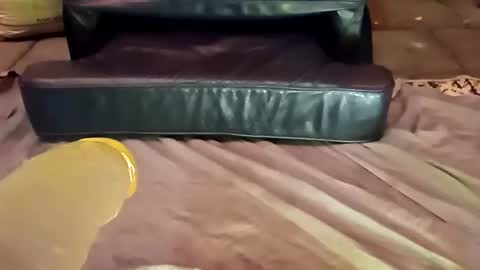 femboy710cum online show from December 21, 2024, 11:24 pm