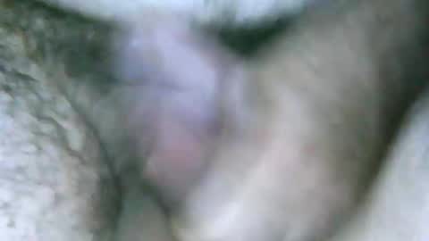 fer_2197 online show from December 30, 2024, 4:19 pm