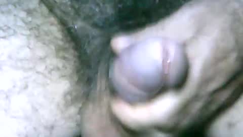 fer_2197 online show from January 1, 2025, 4:29 pm