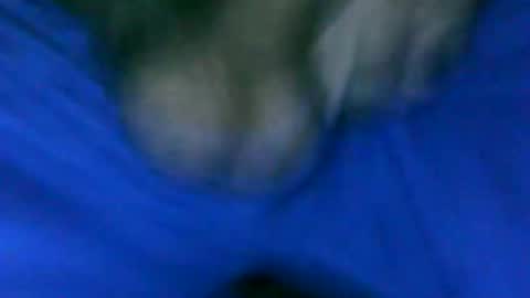 fer_2197 online show from January 23, 2025, 1:24 pm