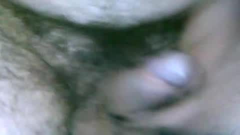 fer_2197 online show from February 13, 2025, 1:48 pm