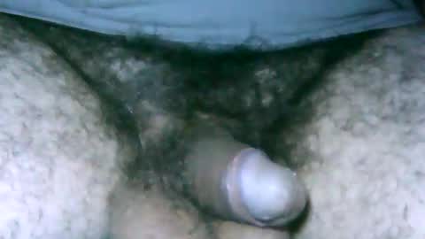 fer_2197 online show from February 17, 2025, 12:27 pm