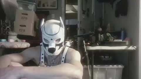 fetishsearch1abdl online show from September 28, 2025, 7:25 am