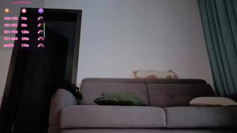 Filla online show from February 6, 2026, 4:17 am