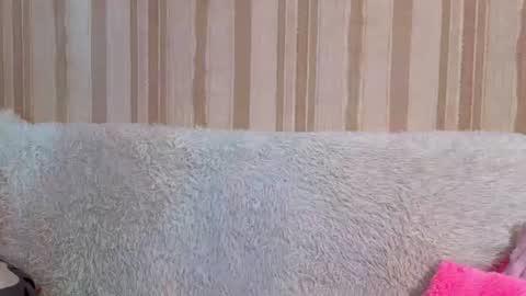 fieryy_foxy online show from August 4, 2026, 7:33 am