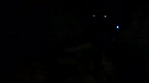 Snapshot of filip1981 chatting on September 14, 2025, 9:41 am filippo online show from September 14, 2025, 9:41 am