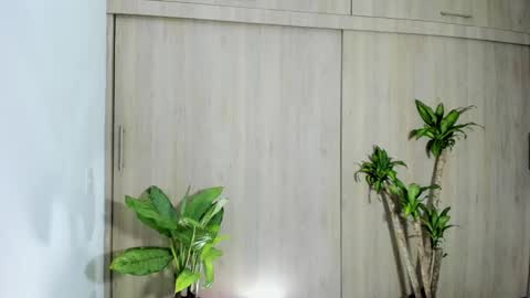 Snapshot of filletatouee chatting on November 10, 2025, 4:44 am filletatouee online show from November 10, 2025, 4:44 am