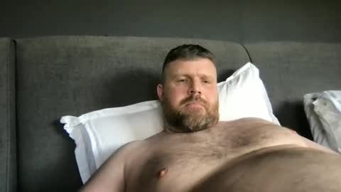 Snapshot of fin_dom_bear chatting on May 25, 2026, 2:23 pm fin bear dom online show from May 25, 2026, 2:23 pm