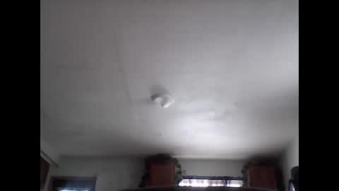 Snapshot of fireprince1977 chatting on November 29, 2025, 8:01 pm Brad online show from November 29, 2025, 8:01 pm