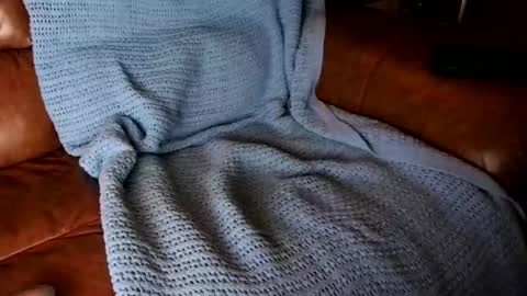 Snapshot of fitstevie1 chatting on January 16, 2025, 11:27 pm fitstevie1 online show from January 16, 2025, 11:27 pm