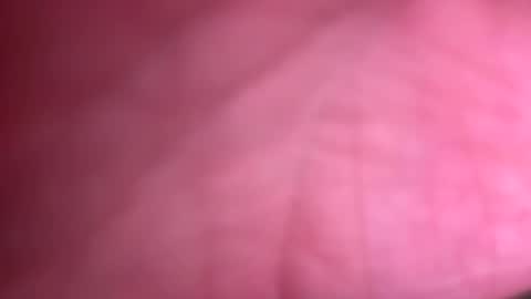 fittallhungdilf online show from December 20, 2024, 3:42 pm