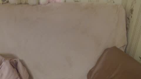 say meow and send tip  online show from May 18, 2026, 3:29 pm