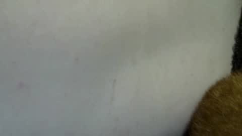 flufferbutt2 online show from April 4, 2026, 10:24 am