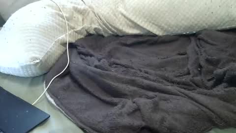 flufferbutt2 online show from April 11, 2026, 12:48 am
