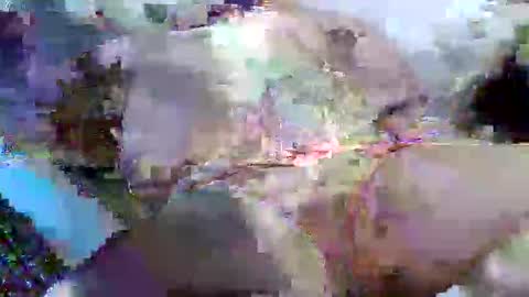 flufferbutt2 online show from April 14, 2026, 5:13 am