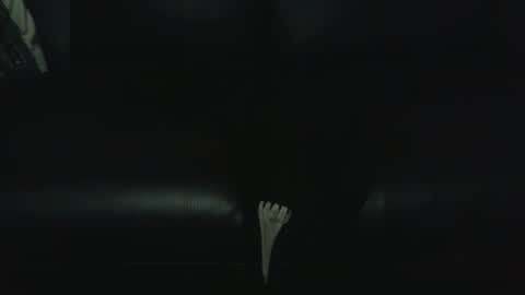 fonixxx69 online show from January 9, 2026, 1:08 am