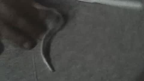 fonixxx69 online show from March 22, 2026, 3:21 am