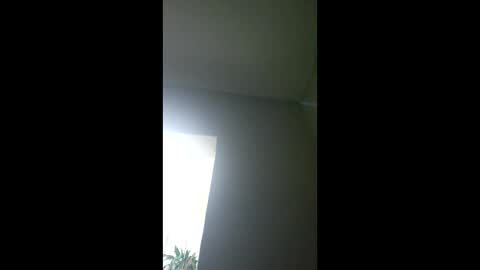 foxtropia online show from February 10, 2026, 2:48 am