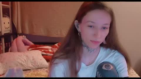 Snapshot of fran_bow chatting on May 26, 2026, 6:37 pm fran_bow online show from May 26, 2026, 6:37 pm