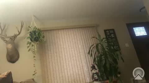 Snapshot of frankdaddy896 chatting on January 6, 2026, 1:15 pm Frank online show from January 6, 2026, 1:15 pm