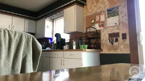 Snapshot of frankdaddy896 chatting on April 8, 2026, 12:38 pm Frank online show from April 8, 2026, 12:38 pm