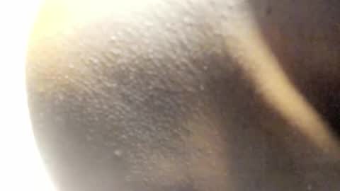 Kandy online show from March 14, 2026, 8:09 am