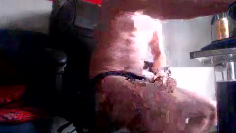 yo online show from February 28, 2026, 8:15 am