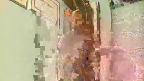 Snapshot of freddy3399 chatting on December 17, 2024, 2:44 am freddy3399 online show from December 17, 2024, 2:44 am