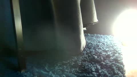 Snapshot of fredthetom12 chatting on January 16, 2025, 3:56 pm Greedy Fred online show from January 16, 2025, 3:56 pm