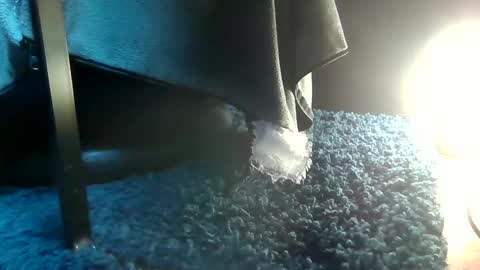 Snapshot of fredthetom12 chatting on February 15, 2025, 4:45 pm Greedy Fred online show from February 15, 2025, 4:45 pm