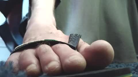 Greedy Fred online show from February 4, 2026, 2:45 pm