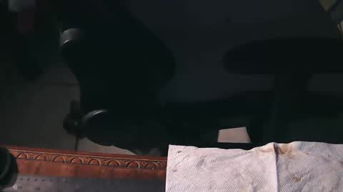 Snapshot of freetryal chatting on November 21, 2025, 2:21 am freetryal online show from November 21, 2025, 2:21 am