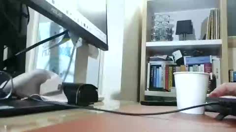 K-Dick online show from March 1, 2025, 11:06 am