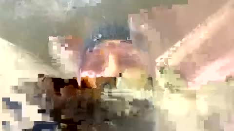 Snapshot of frenchhard0000 chatting on December 17, 2024, 12:34 am Horny french hard online show from December 17, 2024, 12:34 am