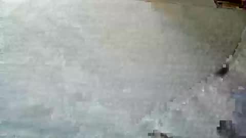 Snapshot of frenchpapalover chatting on December 5, 2024, 12:33 pm frenchpapalover online show from December 5, 2024, 12:33 pm