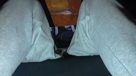 Snapshot of frenchpapalover chatting on October 31, 2025, 8:48 am frenchpapalover online show from October 31, 2025, 8:48 am