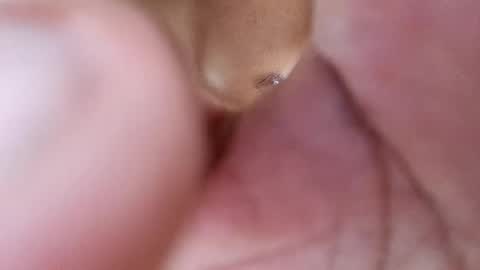 Phantom online show from February 17, 2025, 8:47 pm